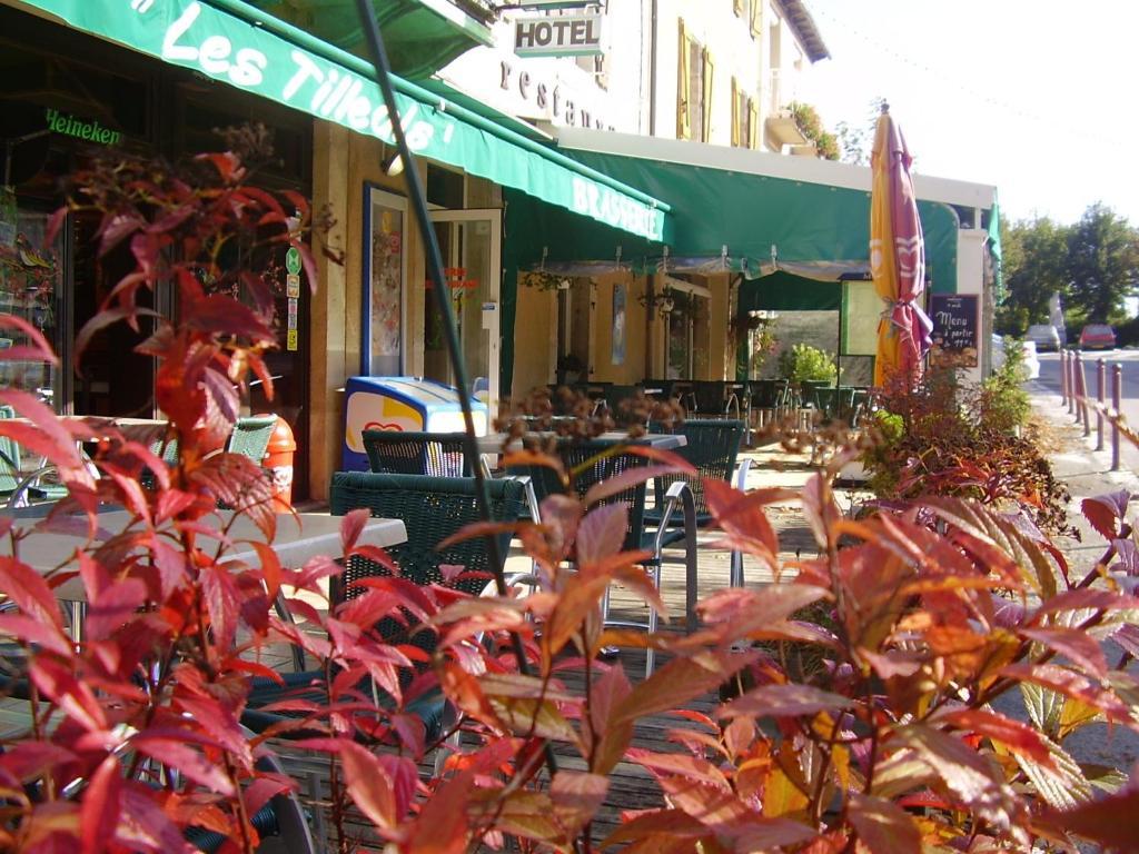 Hotel Les Tilleuls De Pareloup A Salles-Curan Екстериор снимка